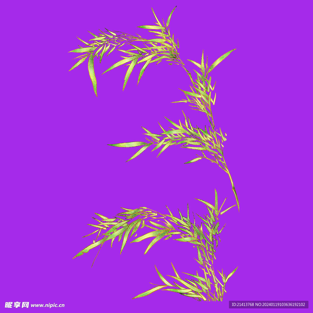 竹林竹葉竹子 
