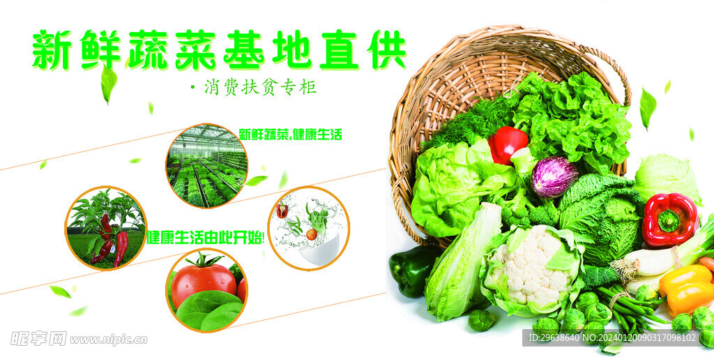 蔬菜基地