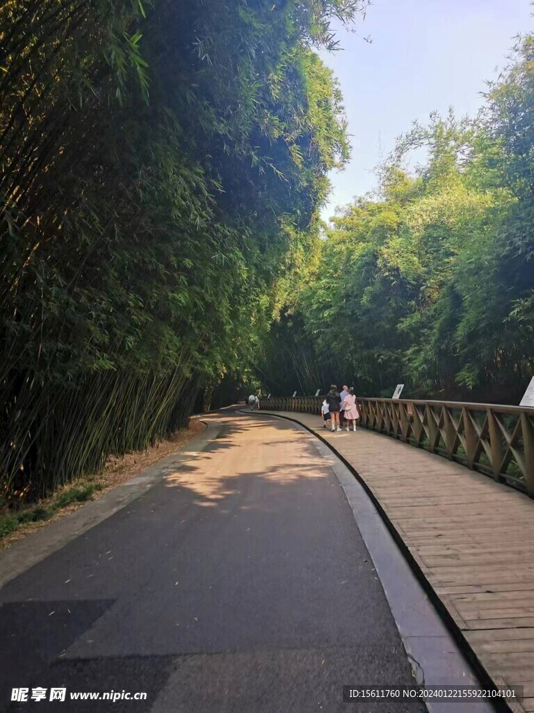 竹海