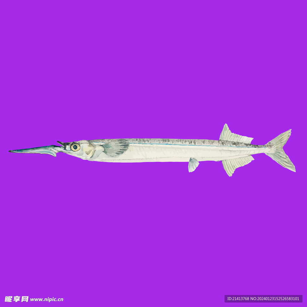 手繪海魚魚類 
