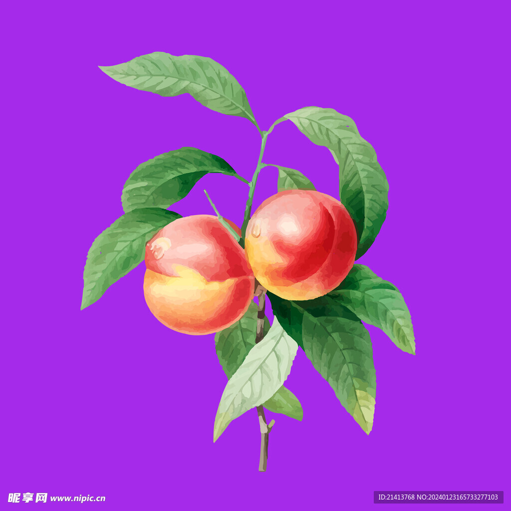桃子水蜜桃