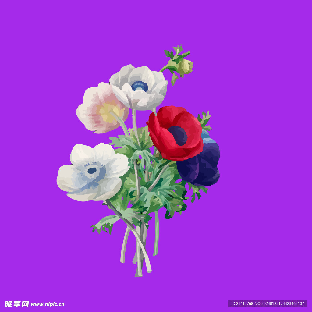 手繪花卉花朵