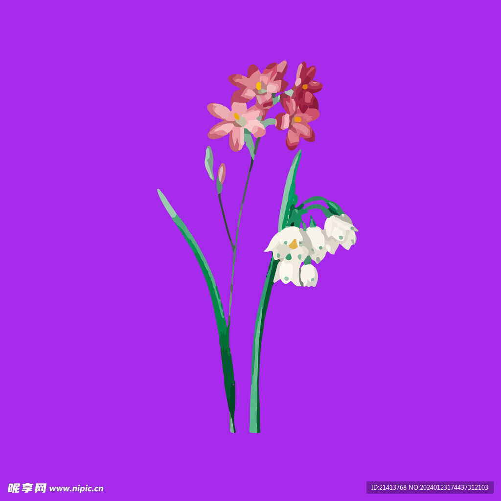 手繪花卉花朵 