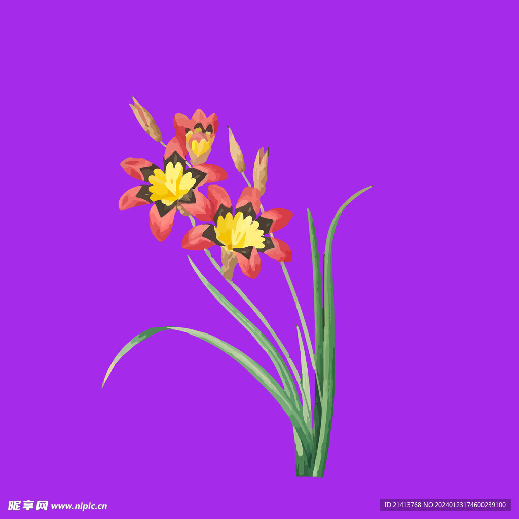手繪花卉花朵 
