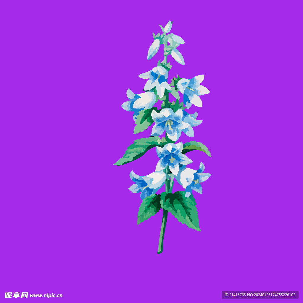 手繪花卉花朵