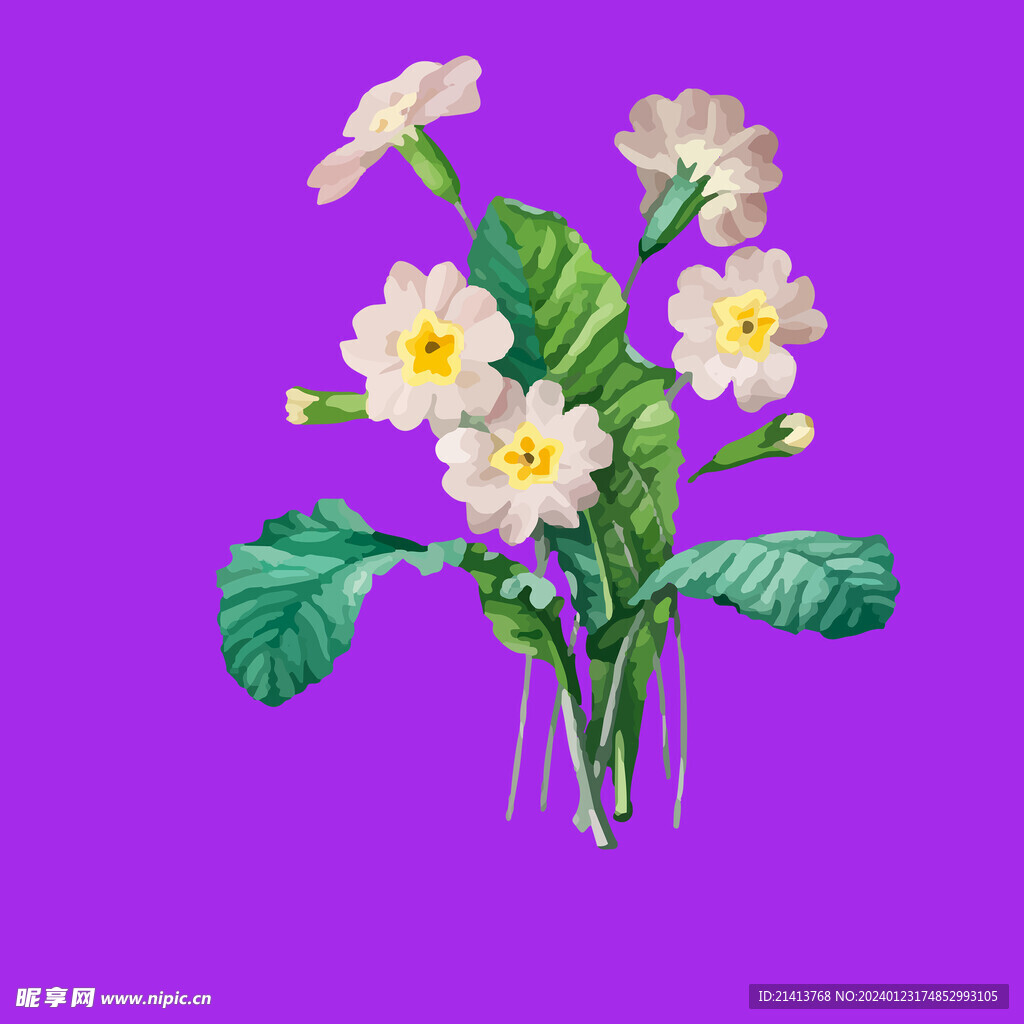 手繪花卉花朵