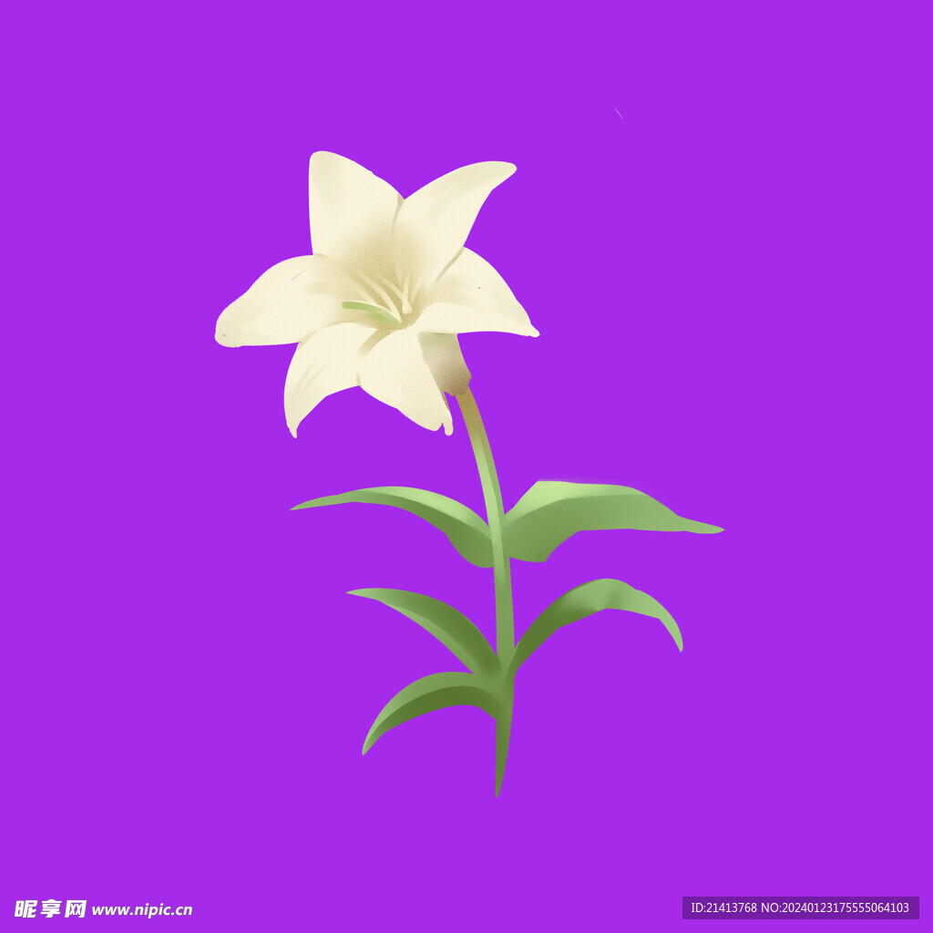 鮮花百合花 