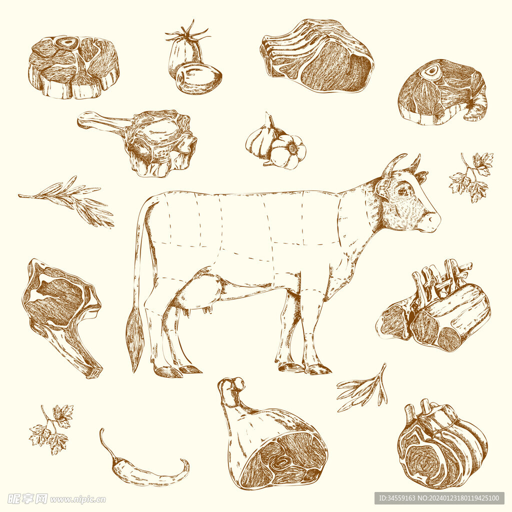 牛和牛肉部位素描画