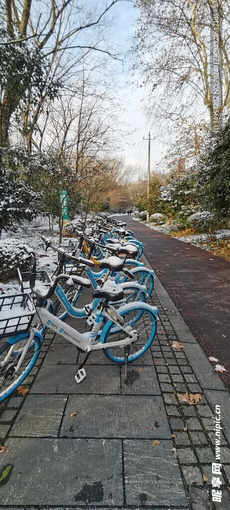雪后共享单车