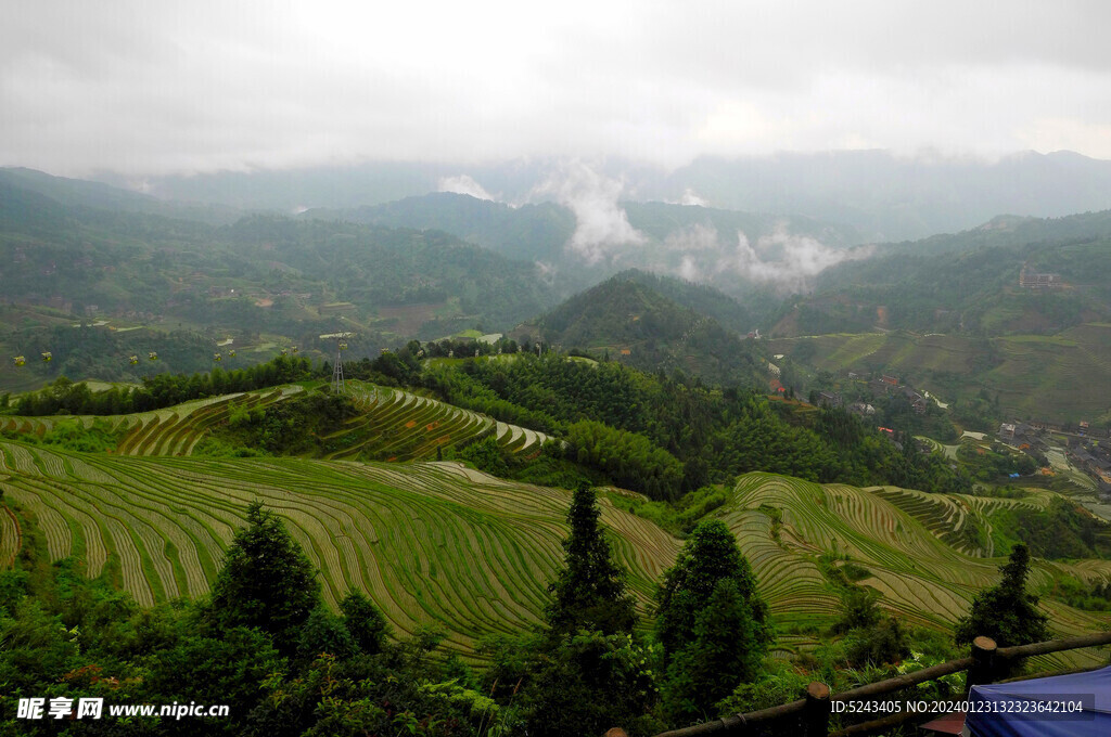 龙脊梯田全景图