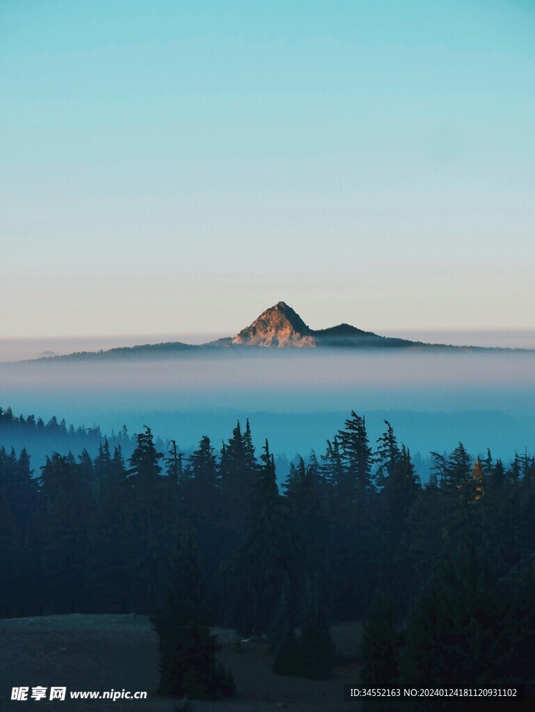 樹林遠山