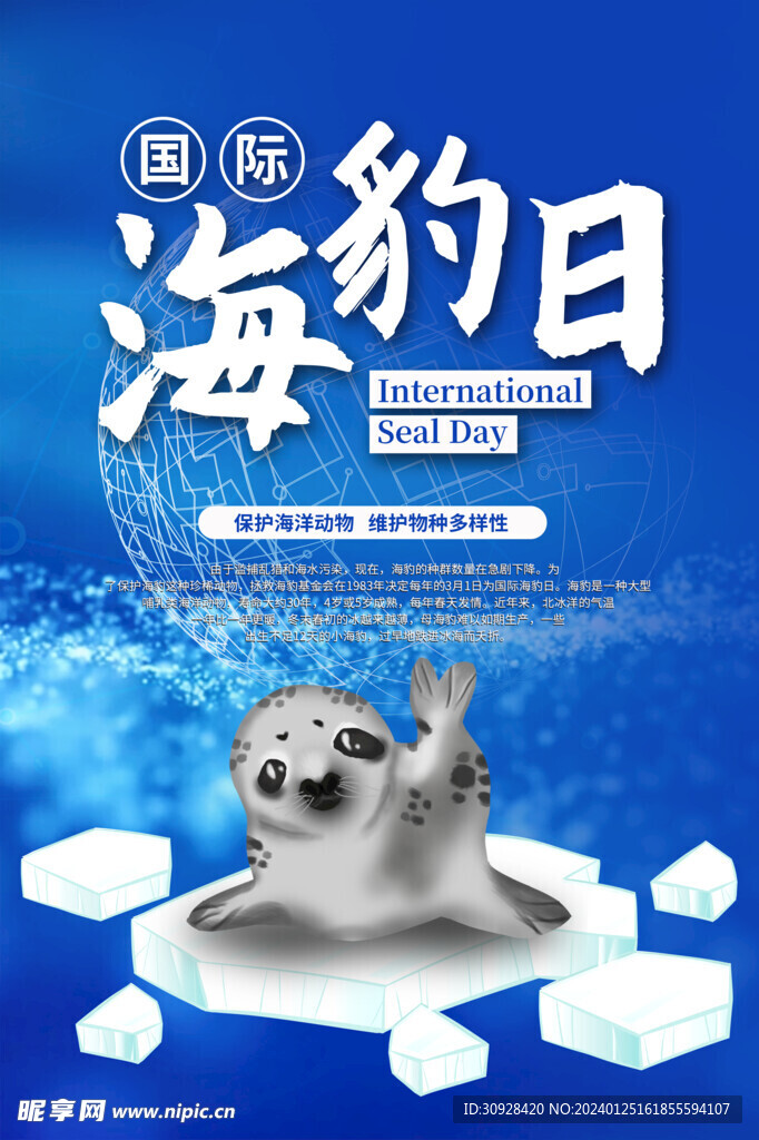 简约大气国际海豹日宣传海报