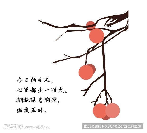 柿子树插画