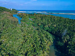海南椰子岛