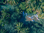 海南岛椰子旅游