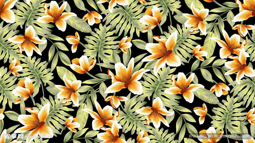 芭蕉葉