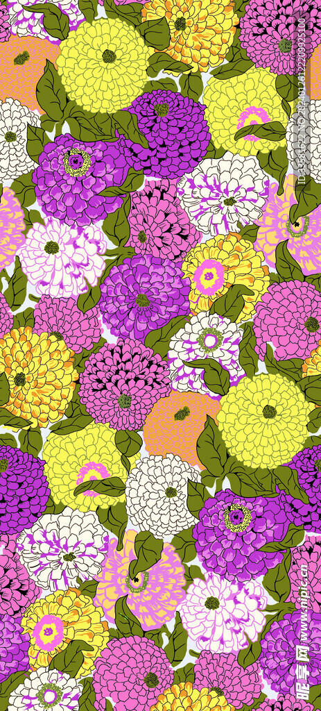 繡球花