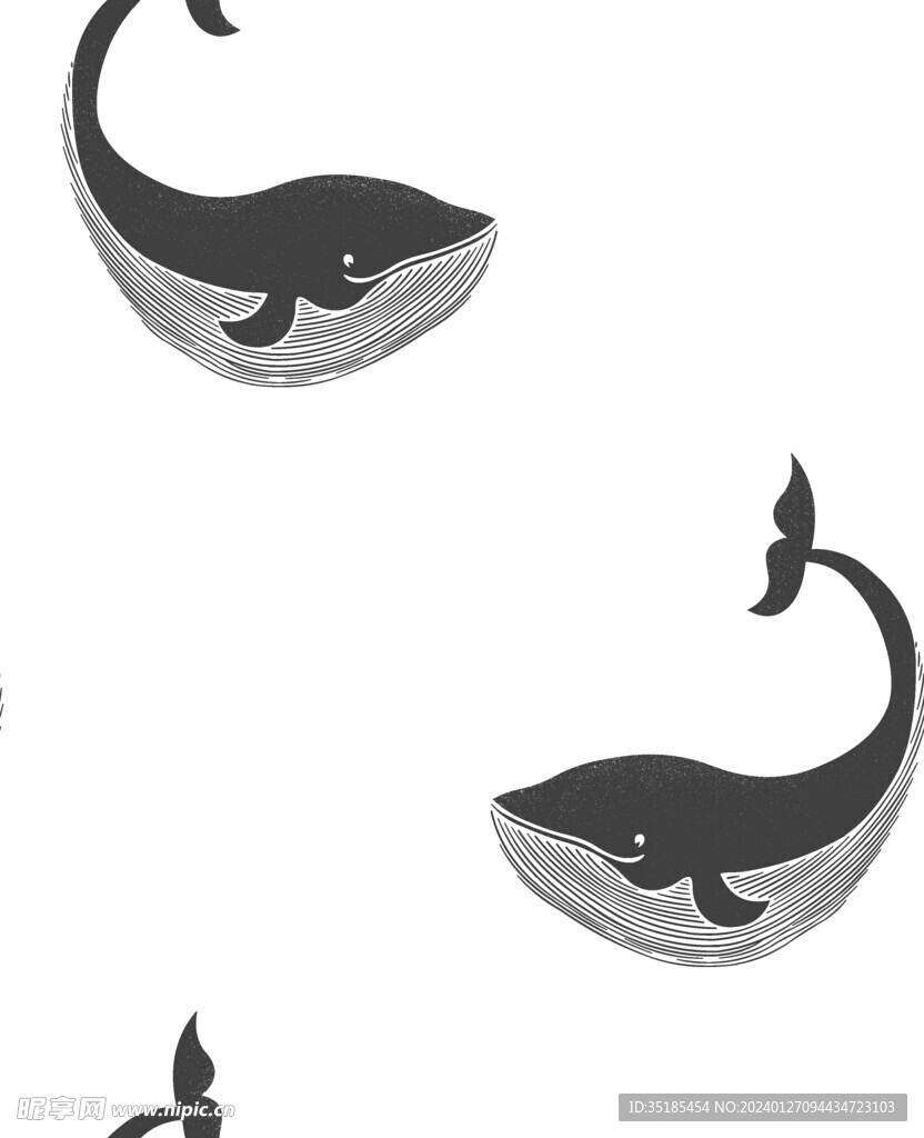 抽象鲸鱼
