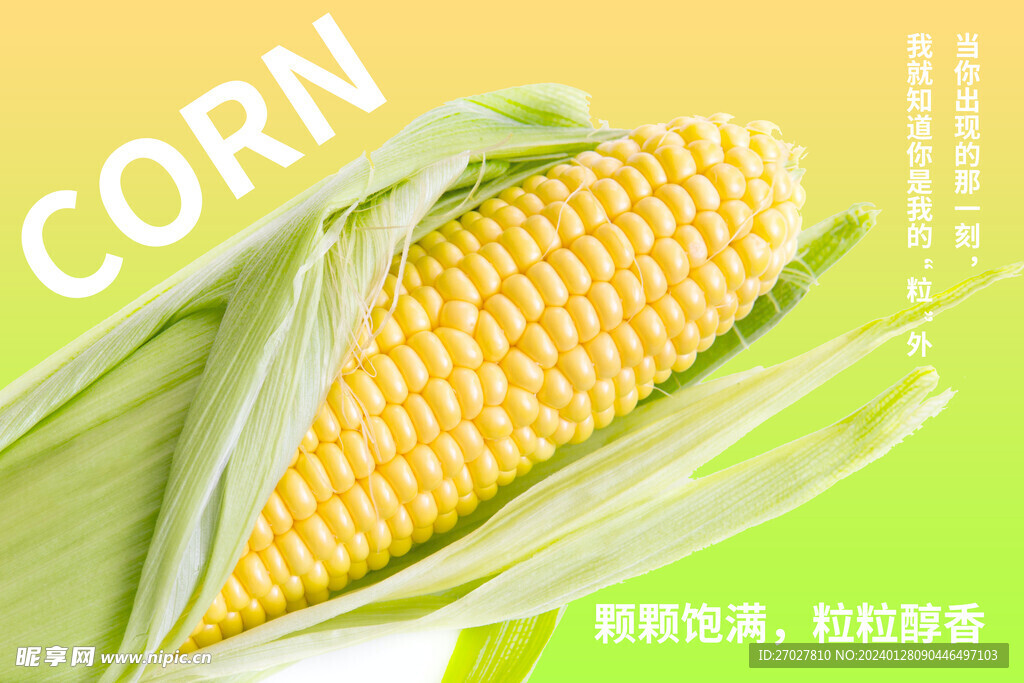 玉米广告宣传海报