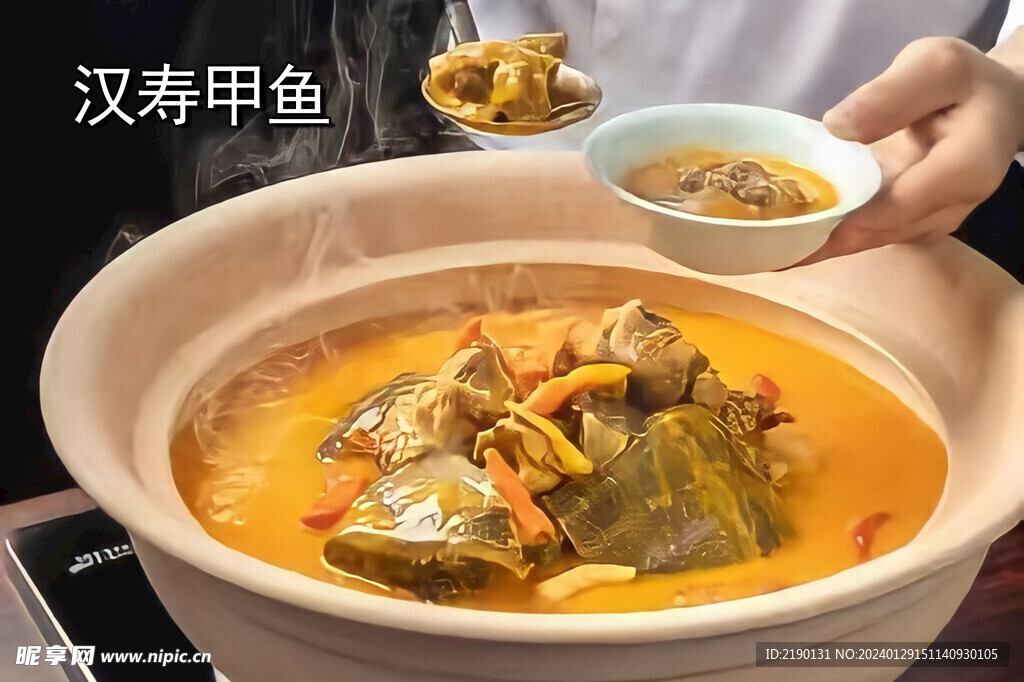 甲魚