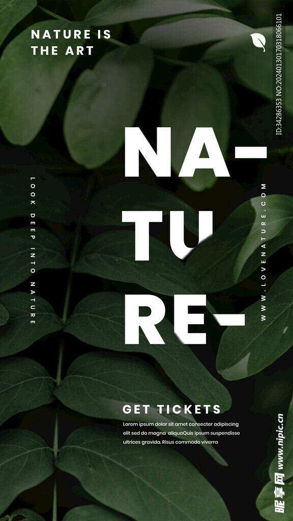 自然墨绿森系植物叶子海报