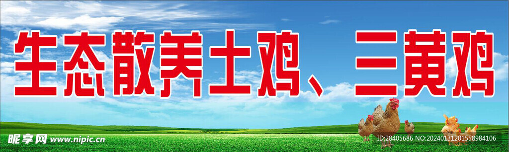 散養(yǎng)雞