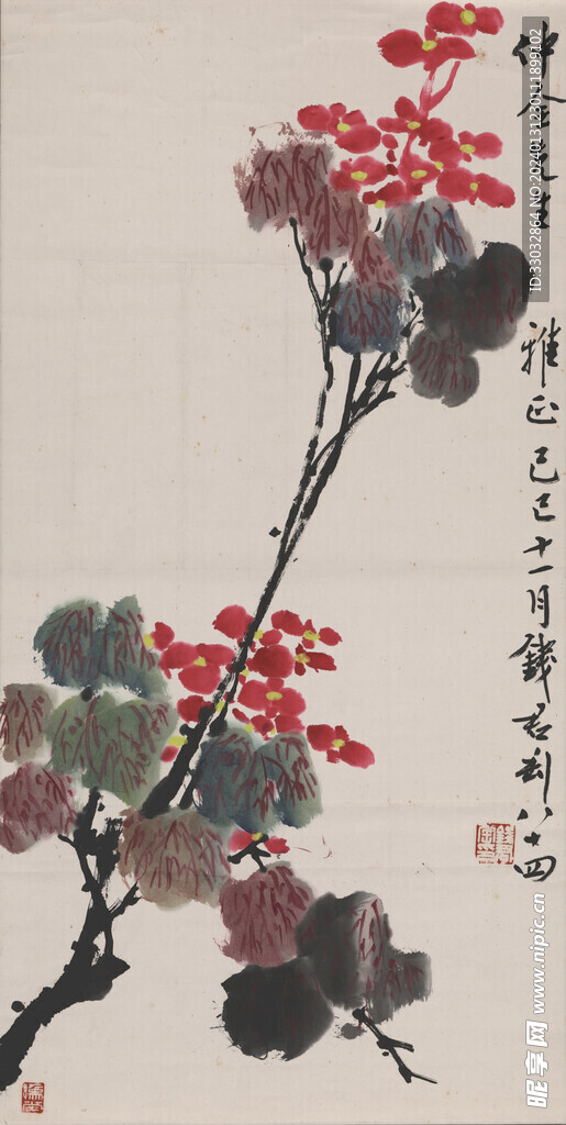 海棠花開
