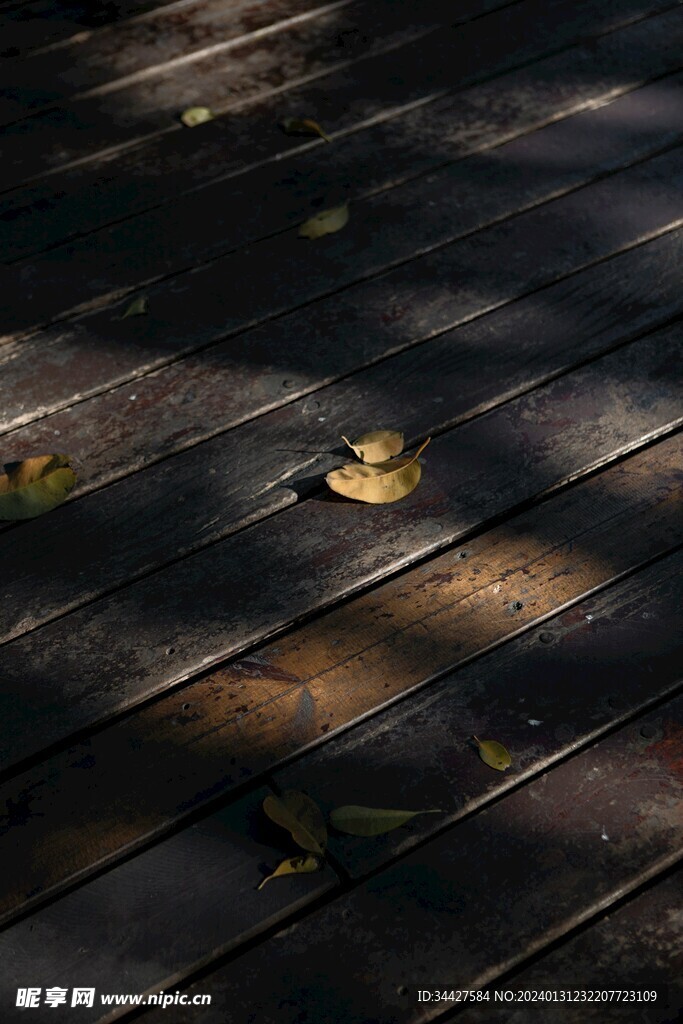 木地板上的树叶