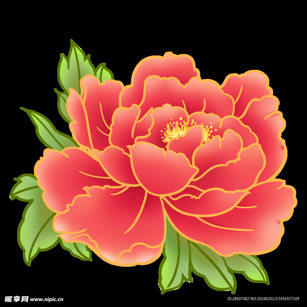 牡丹花元素