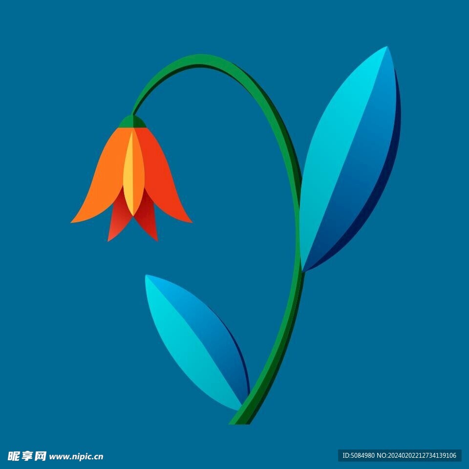 風(fēng)鈴花