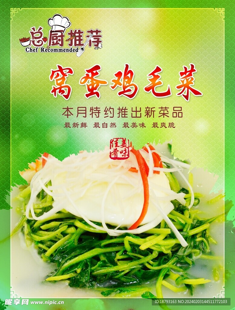 窝蛋鸡毛菜