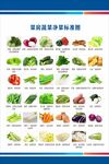菜房蔬菜净菜标准图