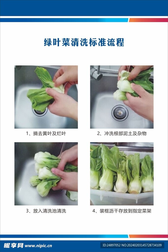 绿叶菜清洗标准流程