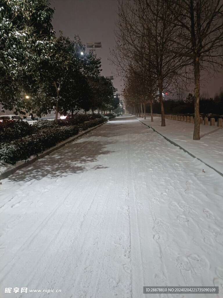 雪中路