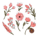 手绘粉色水彩花朵