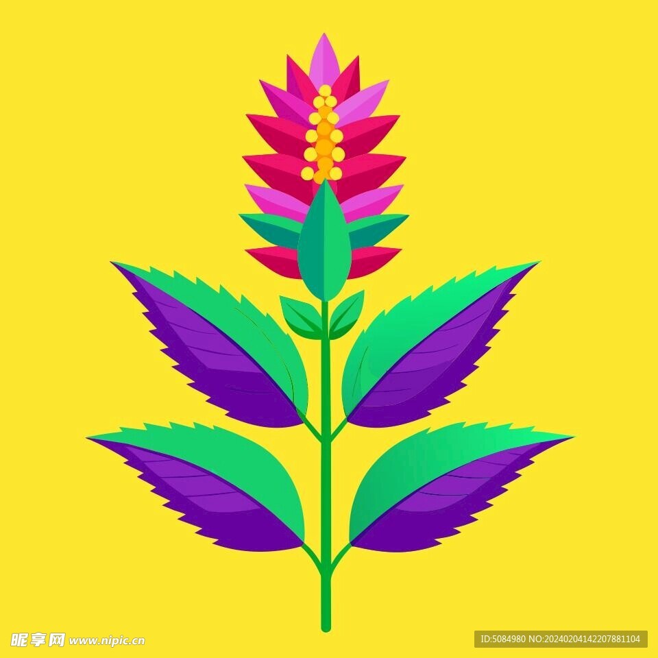 簡潔的彩色節(jié)日素材茴香花