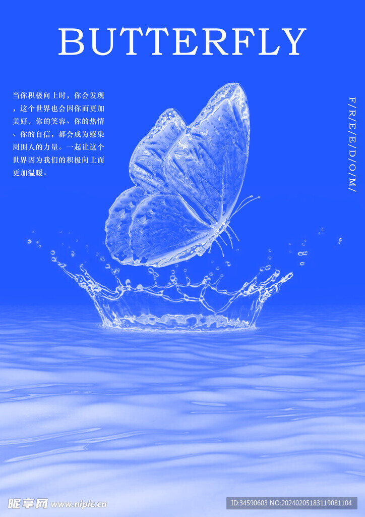 液態(tài)蝴蝶海報