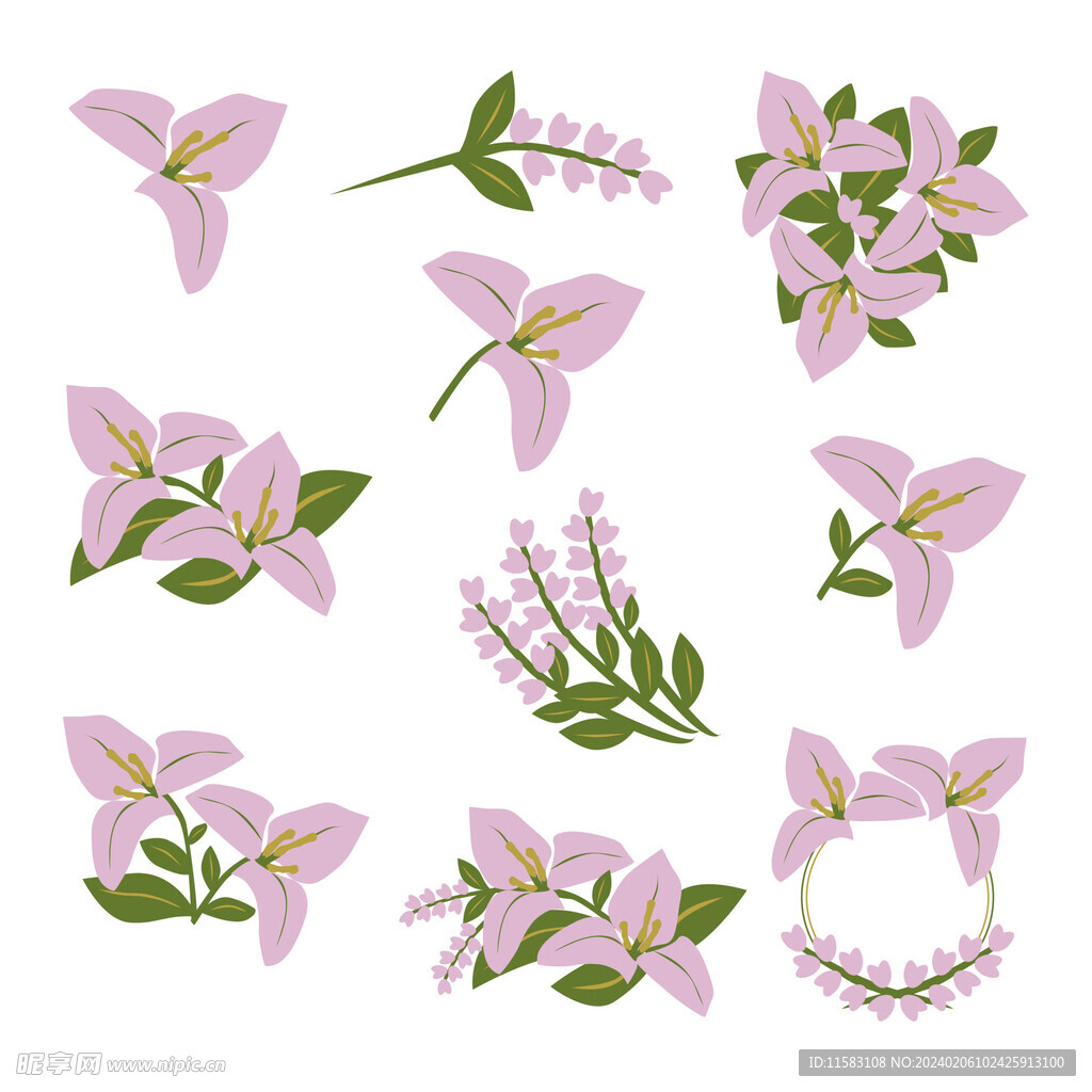 紫花插图