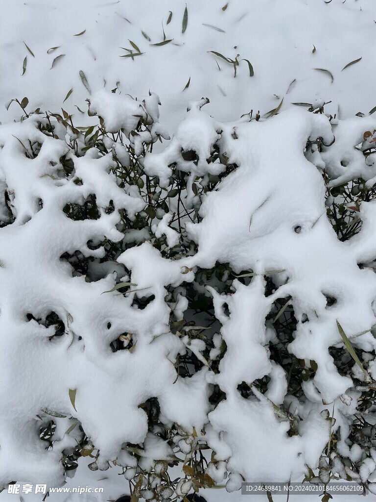 雪 
