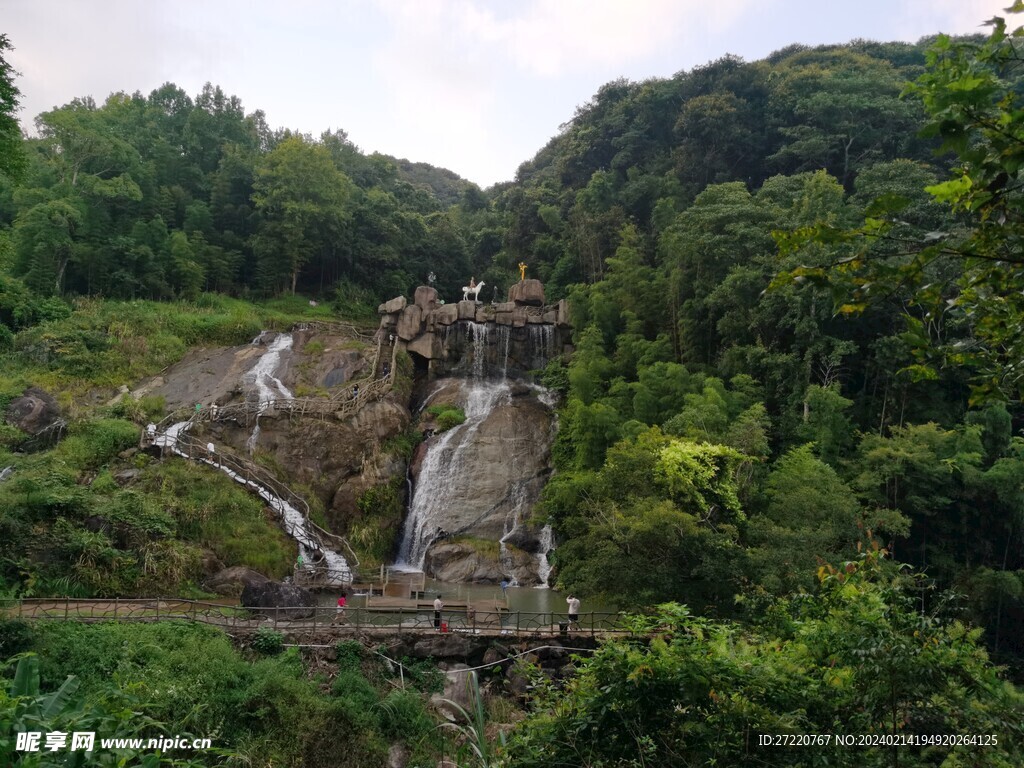 竹林 森林 山林 瀑布