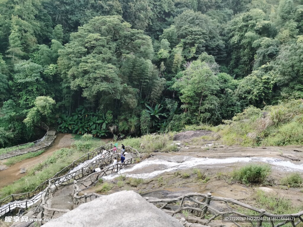瀑布 竹林 竹海