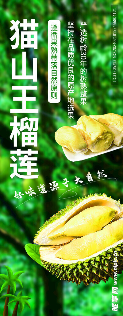 貓山王榴蓮