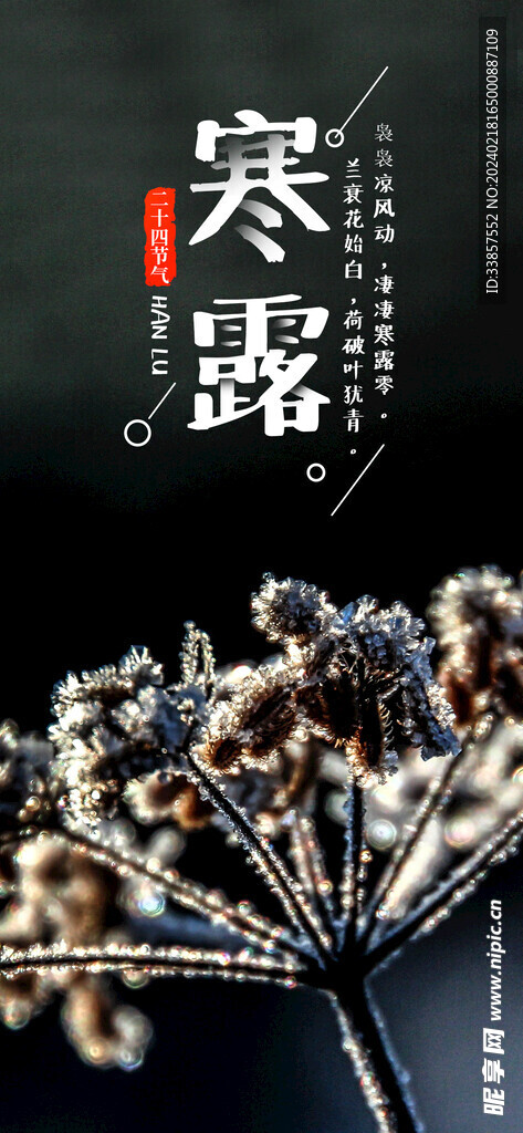 寒露海報           