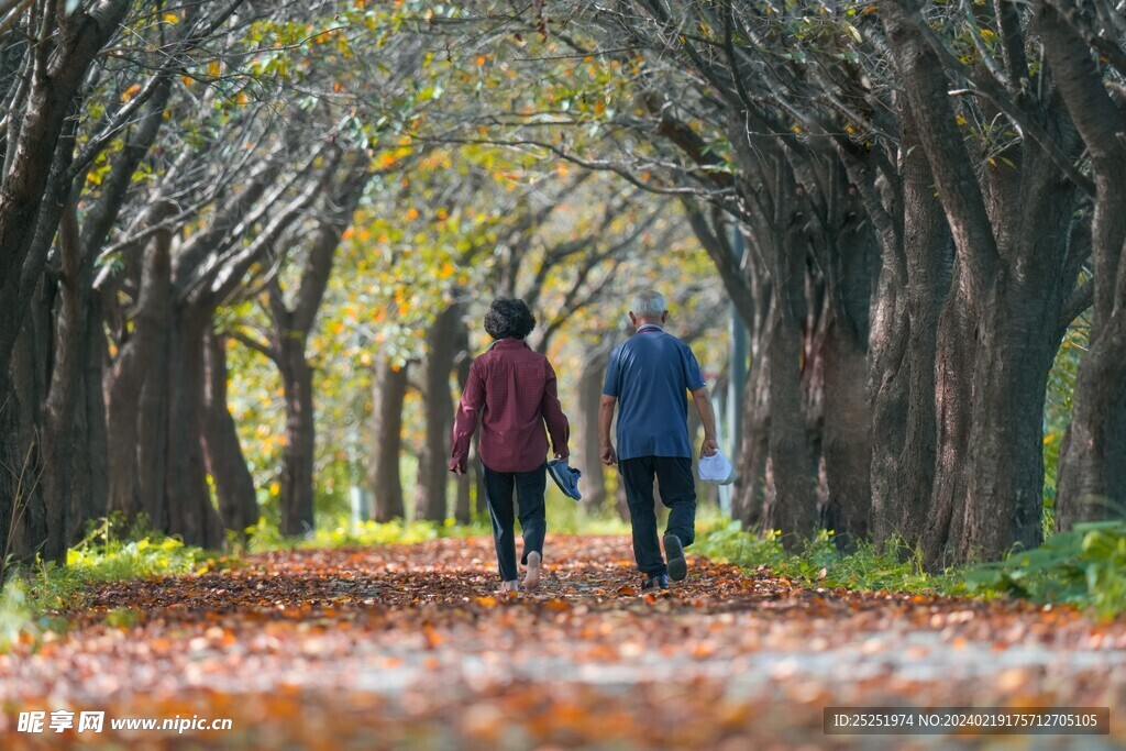 两个老人在秋天的林荫道散步