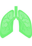 健康肺