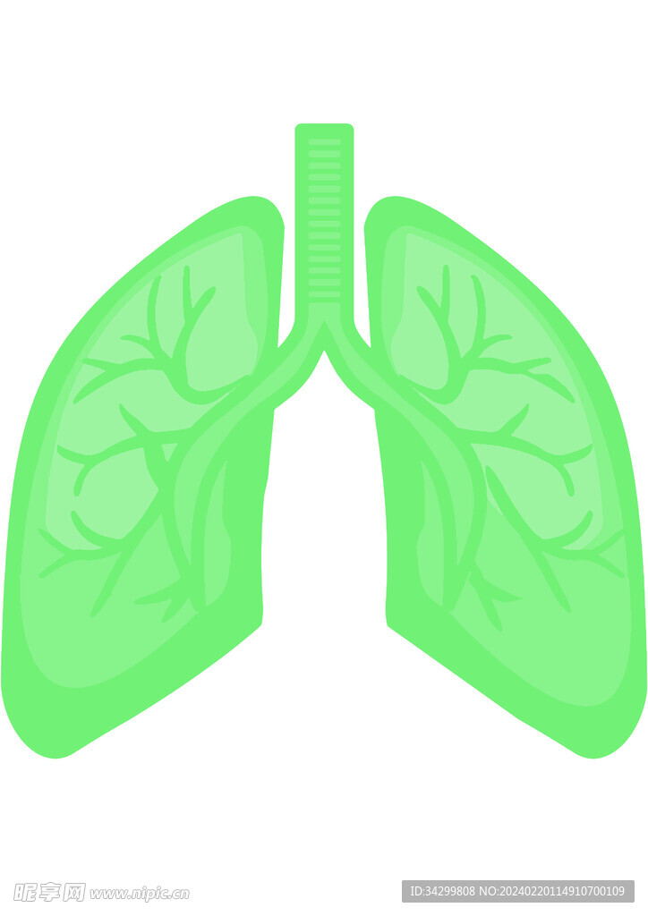 健康肺
