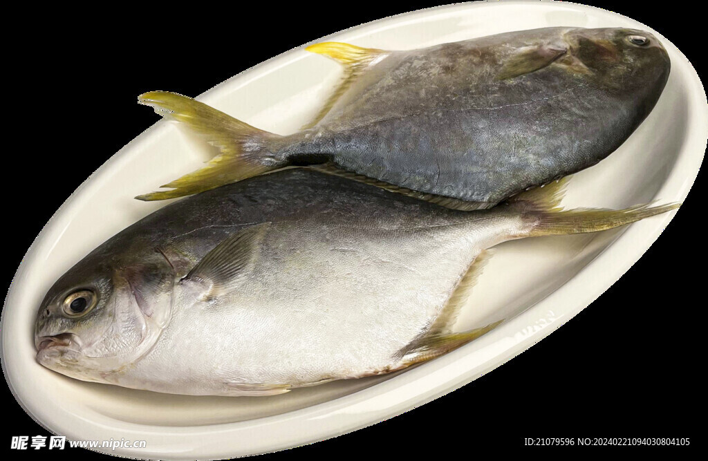 魚