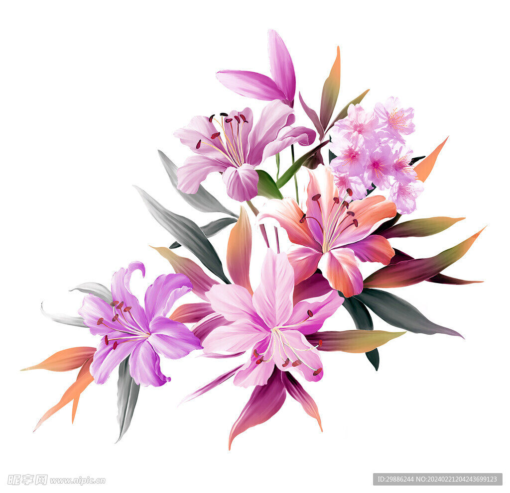 花卉