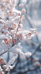 雪地粉色果子下雪风景