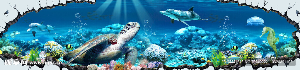 3D 海龟